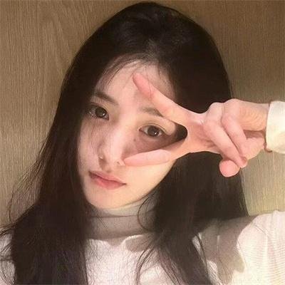 月季花开